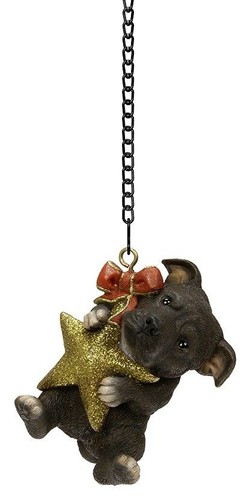 Brindle staffordshire terrier - staffordshire,