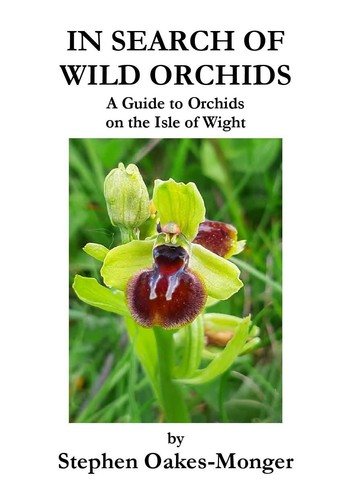 Isle wight wild orchid - isle, -wild