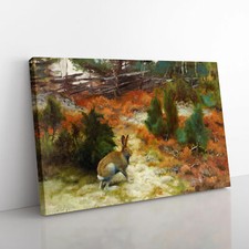 Hare Rabbit By Bruno Liljefors