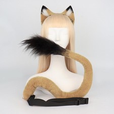 Lion ear and tail - lion,
