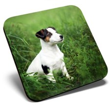 Square Single Coaster - Jack Russell Terrier Dog Puppy  #16927
