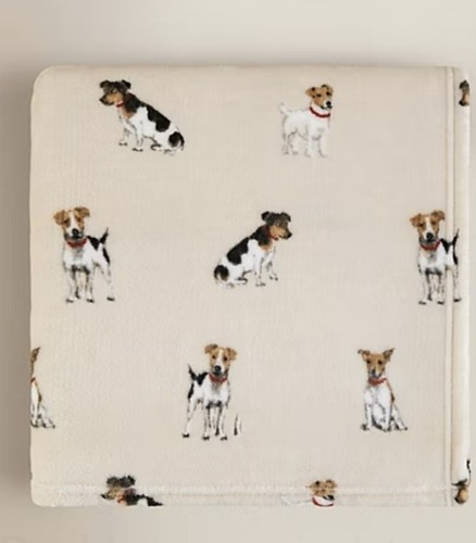 New jack russell - new,