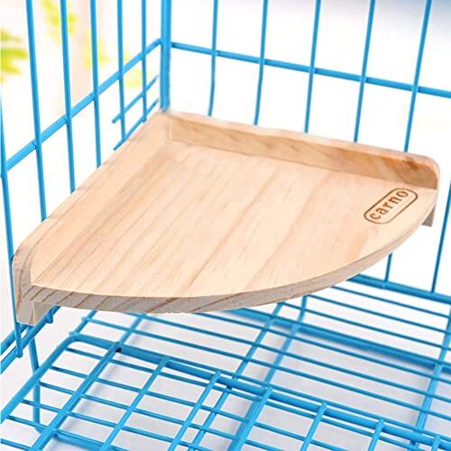 Parrot bird wood perch - parrot,