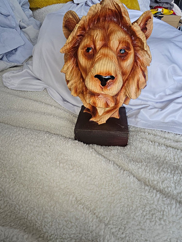 Carved wooden lion - lion, bust