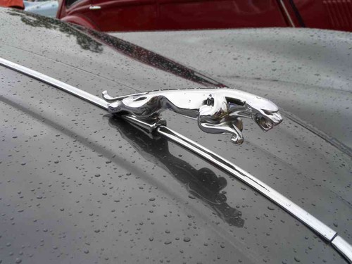 Jaguar 150 bonnet 2384 - jaguar,