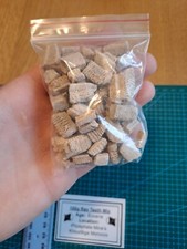 100gram Fossil Ray Teeth