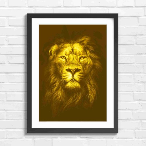 Intense majestic male - intense,