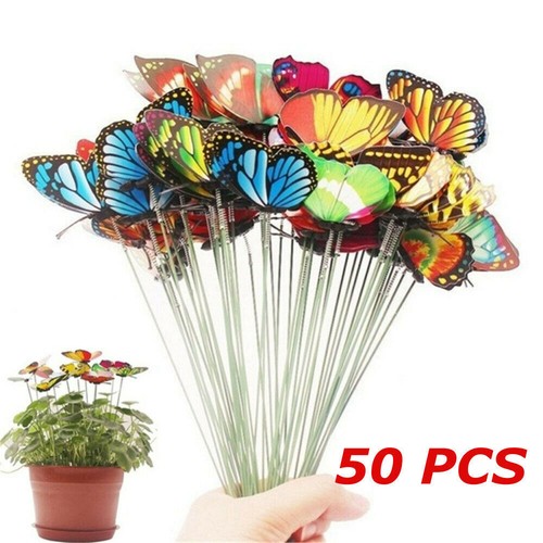Colourful butterflies - colourful,