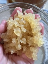Water Kefir Grains pasteurised not Milk 40gr