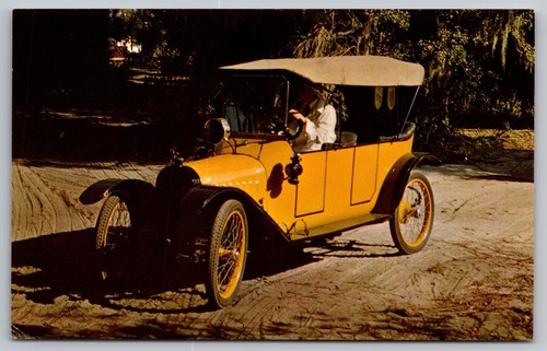 Postcard 1914 woods - postcard:,