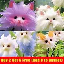 1Pack 50 Rare cat Face Orchid Seeds Dracula Cute Simia Garden Plant Flower Decor