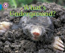 What's Underground (Paperback)
