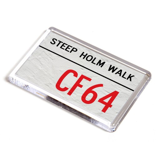 Fridge magnet steep holm - fridge,