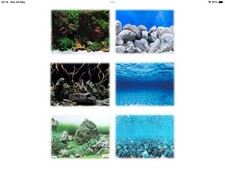 Aquarium Fish Tank Vivarium