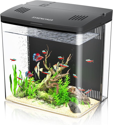 Desktop fish tank - fish, gallon