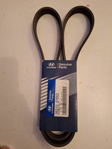 New genuine rib - 6, multi