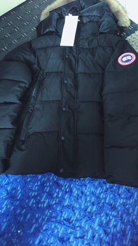 Canada goose arctic program - canada,