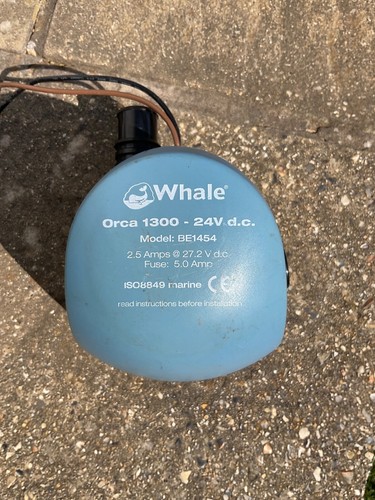 Genuine whale orca 500 - genuine,