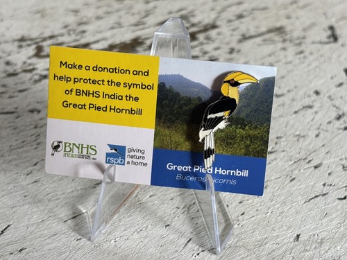 Rspb partner great pied - partner,