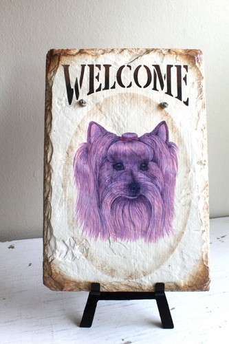 Lilac terrier dog - dog, hand