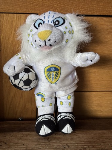 Lucas kop cat soft - kop,