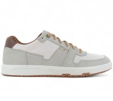 CAT Caterpillar Line Up Canvas