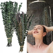 20/65Pcs Dried Eucalyptus Bundle for Shower Hanging Eucalyptus Lavender-~