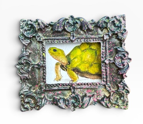 Teeny mini turtle - teeny,