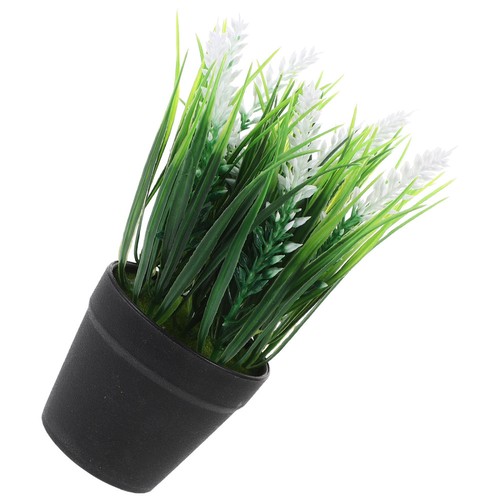 Simulated clivia potted plant - clivia,