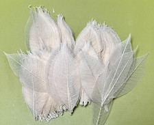 (GRADE_B) About 300 x Natural Skeleton Rubber Leaves 9-11 cm Embellishment DIY