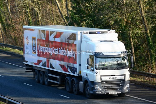 Truck photo 12x8 daf - -,