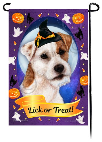Halloween garden flag broken - garden,