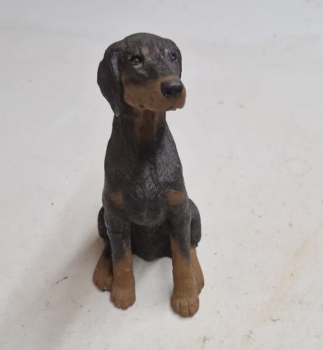 Sandicast doberman pinscher - doberman,