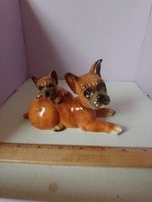 Vintage Boxer Dog And Pup