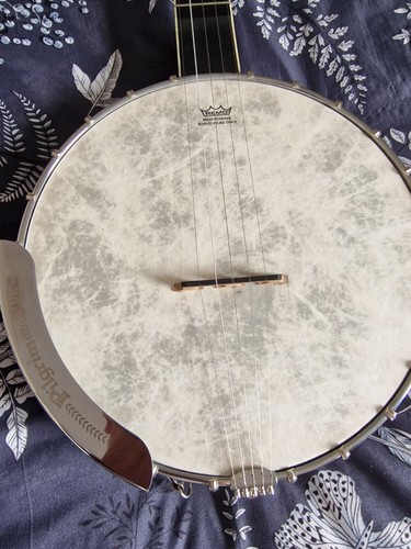 Pilgrim banjo with scooped - banjo,