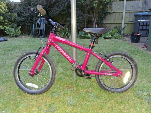 Ridgeback dimension kids - ridgeback,