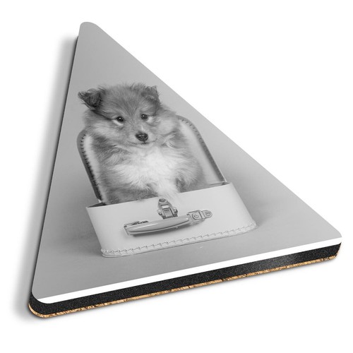 Triangle coaster bw - triangle,