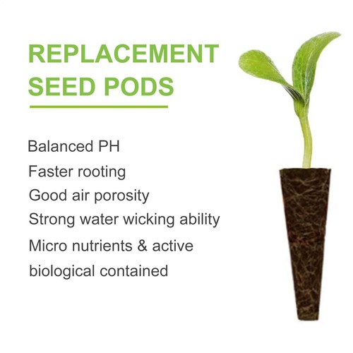 50pcs root grow - grow, sponges