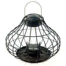 Squirrel Proof Bird Seed