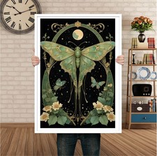 Green Moth Art Nouveau Wall