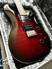 Paul Reed Smith NEW Electric