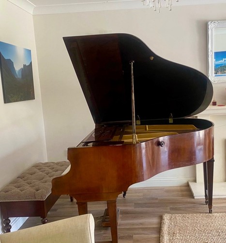 Beautiful baby grand piano - baby,