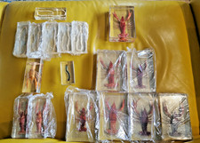 **BRAND NEW EDUCATIONAL