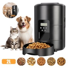 Smart automatic timed pet - smart,