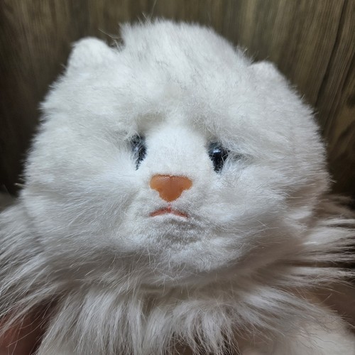 Angel cat 1001 - angel, white