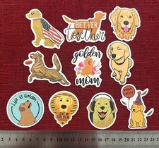 10 X Golden Retriever Dog