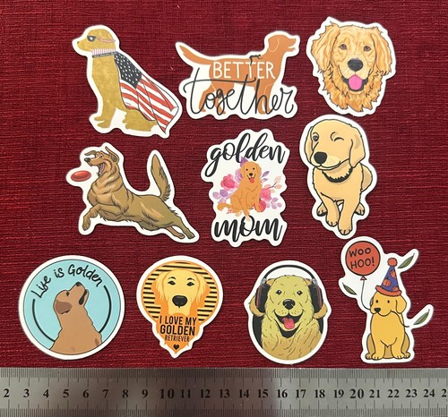 Golden retriever dog - 10,
