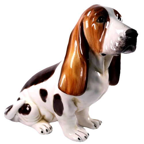 Ronzan bassett hound - ronzan,