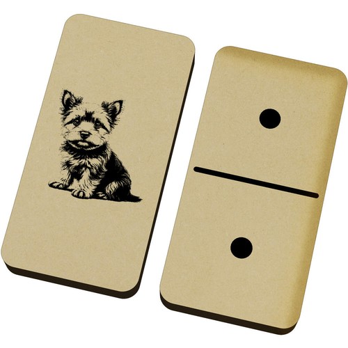 Yorkshire terrier puppy - terrier, puppy'