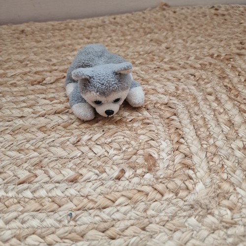 Grey white husky puppy - puppy, soft